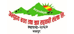 Avyudaya Bachat Tatha Rin Sahakari Sanstha LTD
